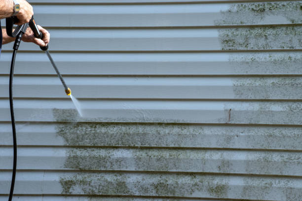 Affordable Siding Repair and Maintenance Services in Canton, TX